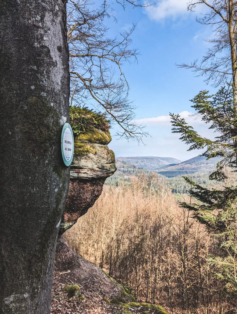 Vue depuis le Kelchfels