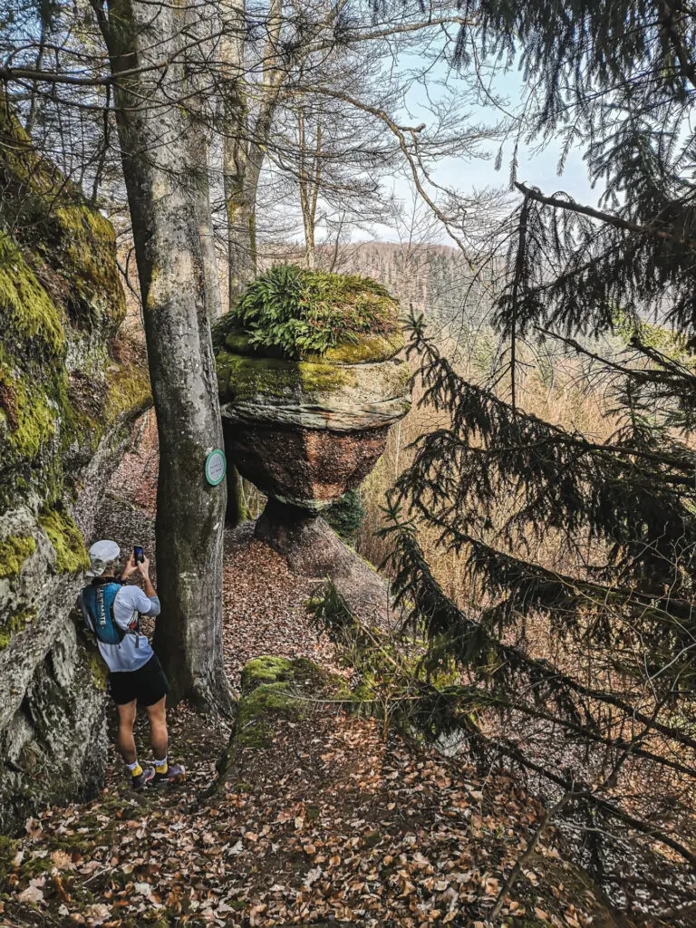 Kelchfels