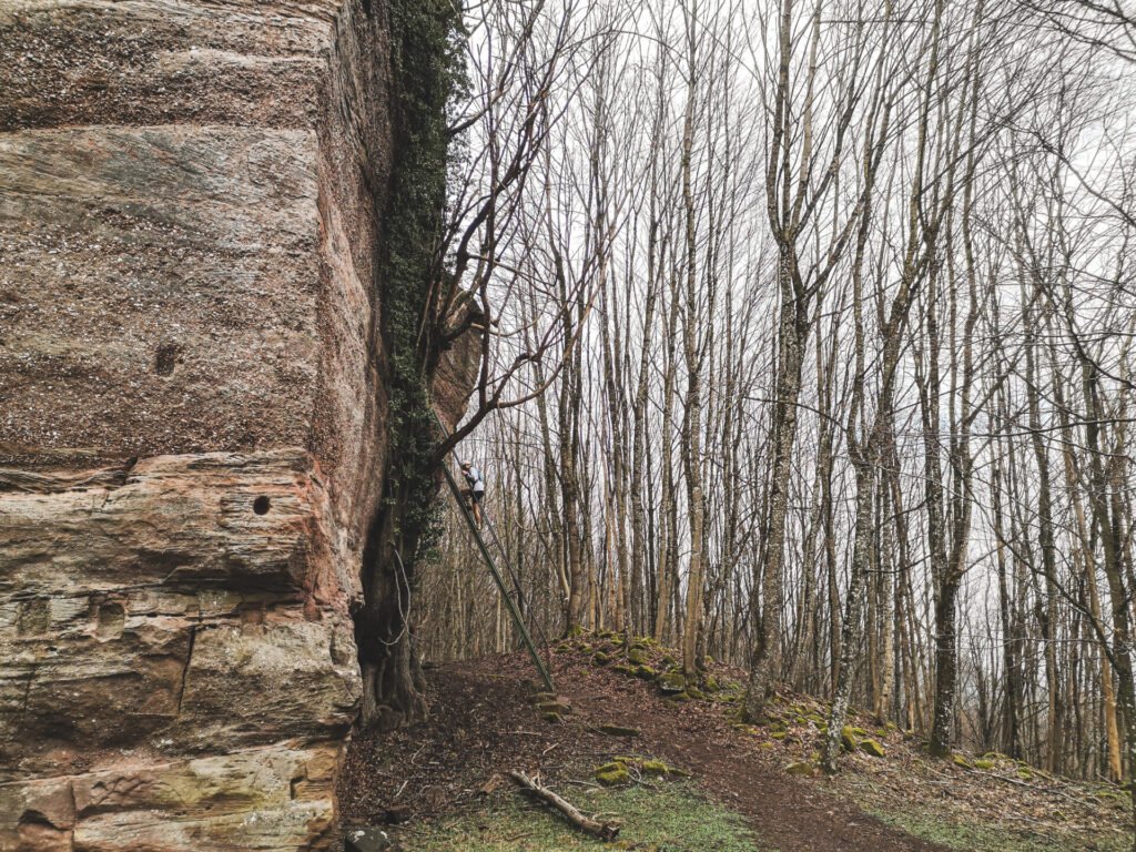échelle château Ochsenstein