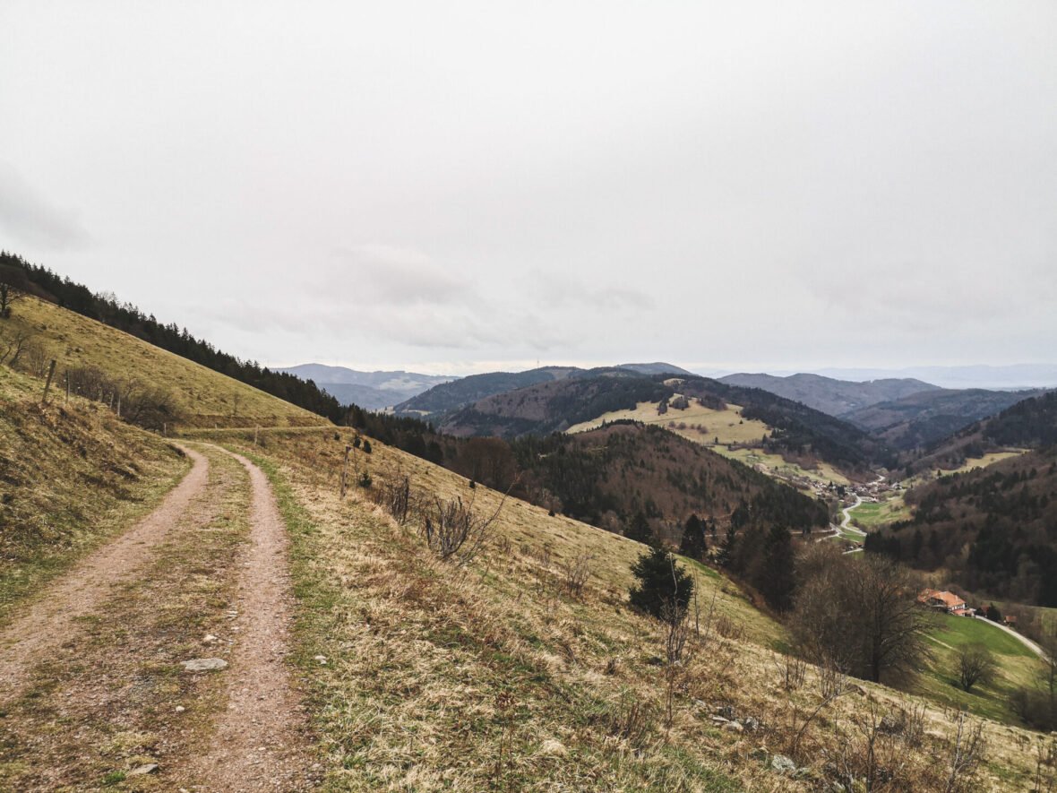Panorama Forêt Noire