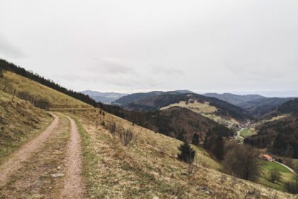 Panorama Forêt Noire