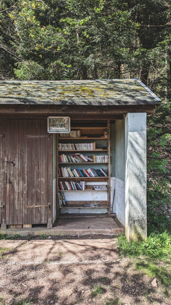 Cabane livre La Salm