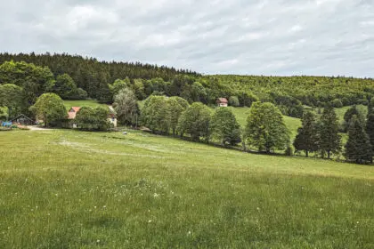 Chaume des veaux