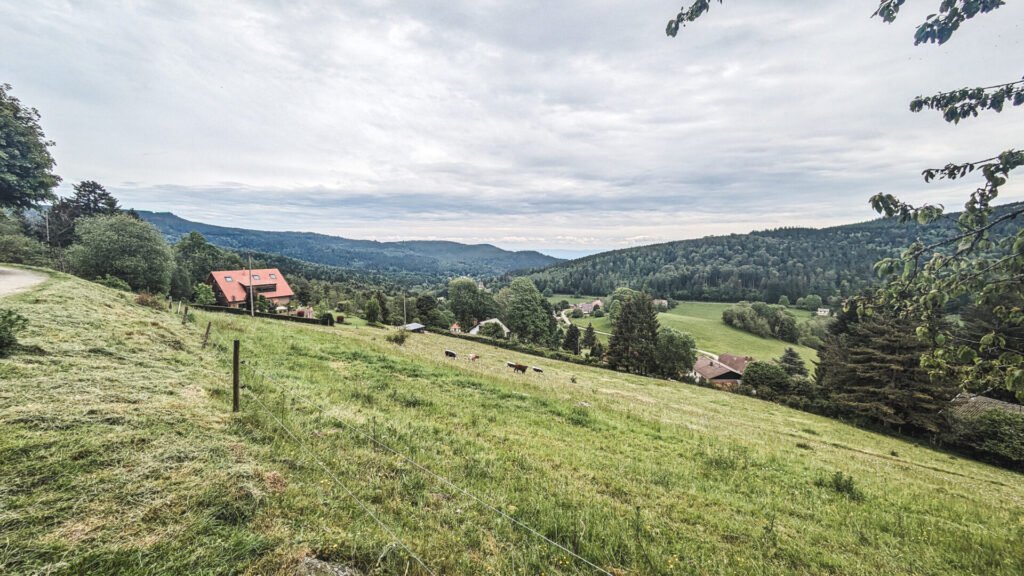 vue sur le hohwald