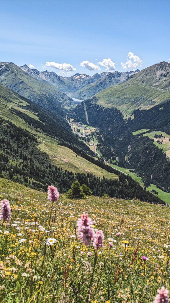 Vue lac de Toules