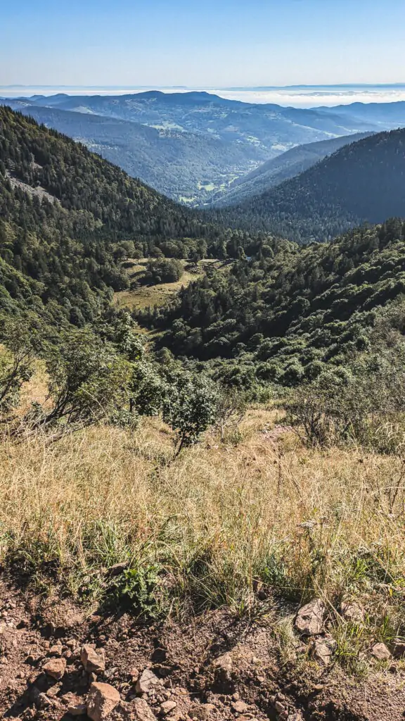 Montée vers col du Folimont