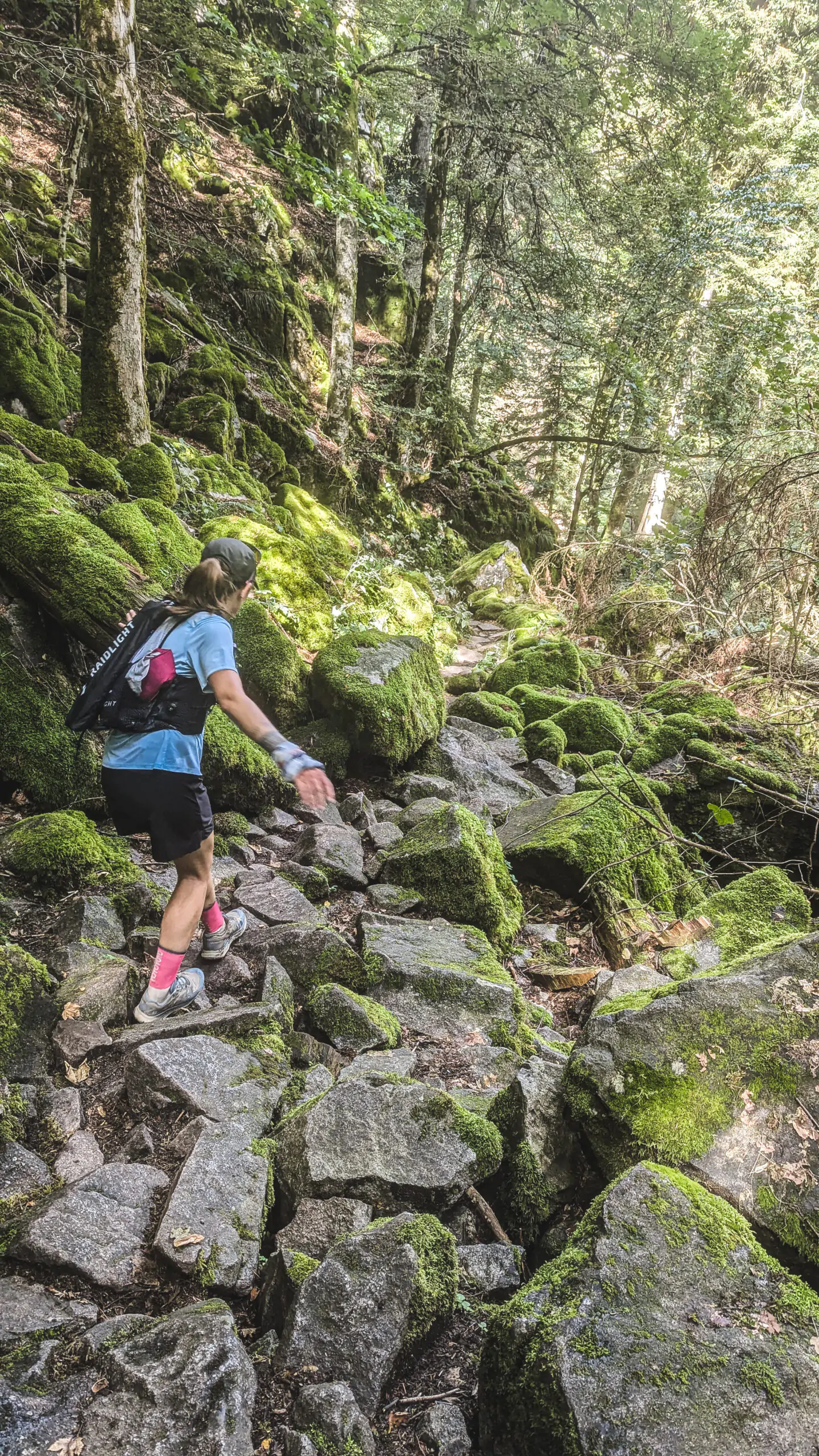sentier vosges