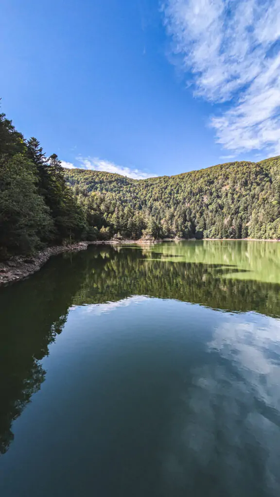 Lac d'Altenweiher