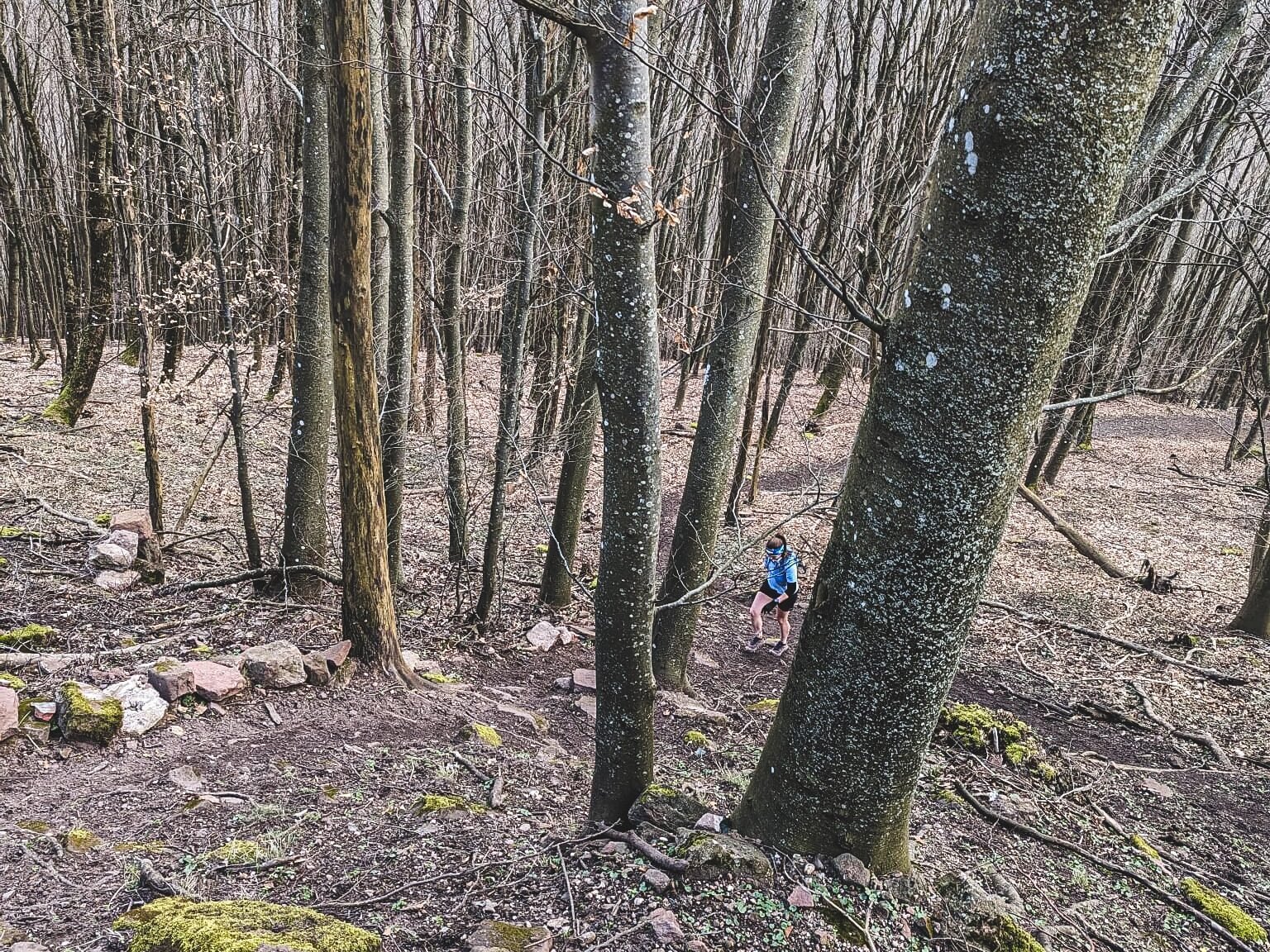 trail montée saverne