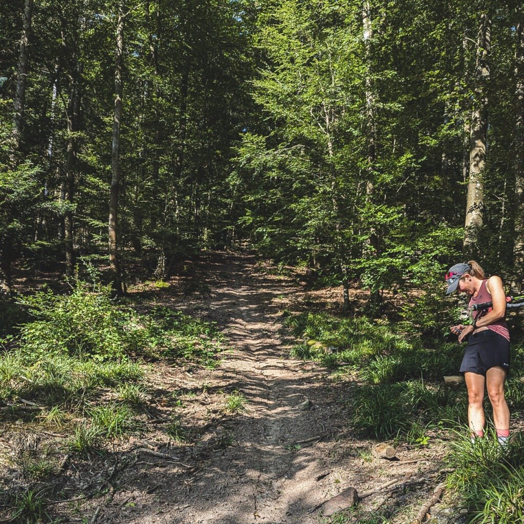 oberhaslach trail montée